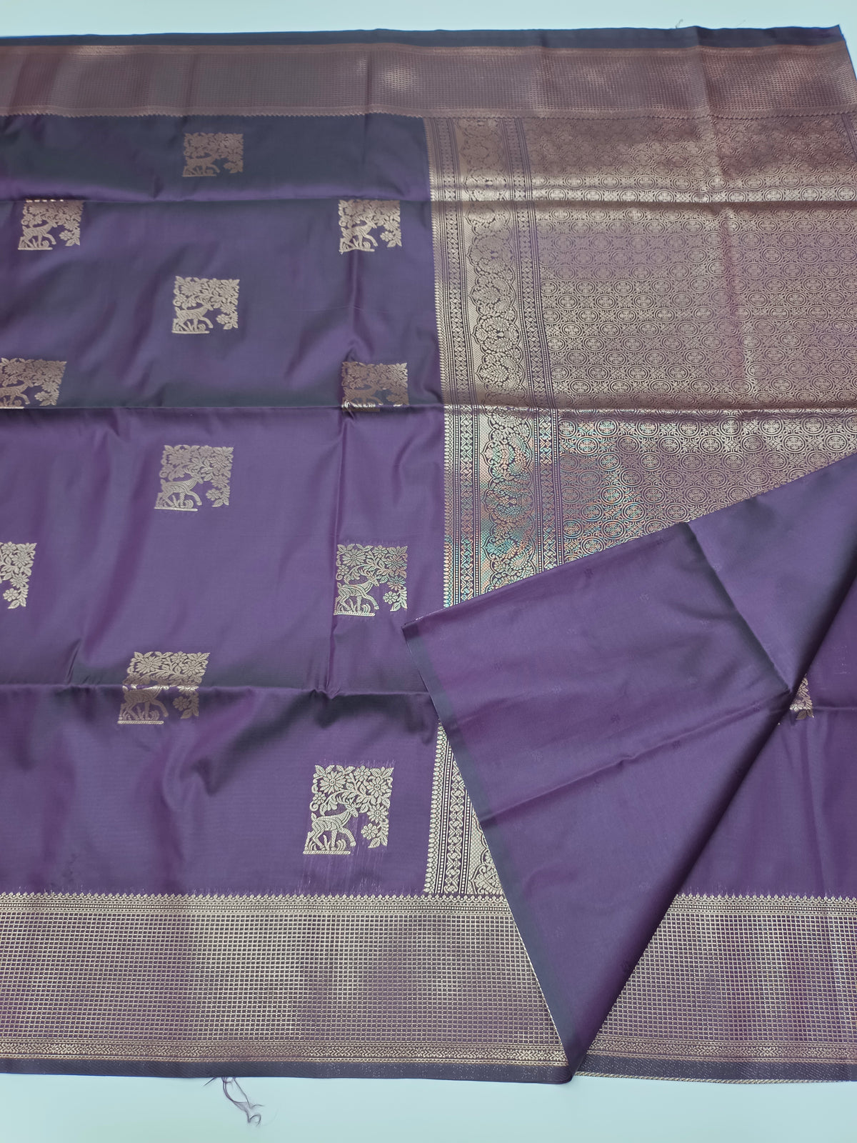 FANCY RAW SILK SAREE