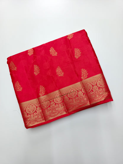 FANCY RAW SILK SAREE