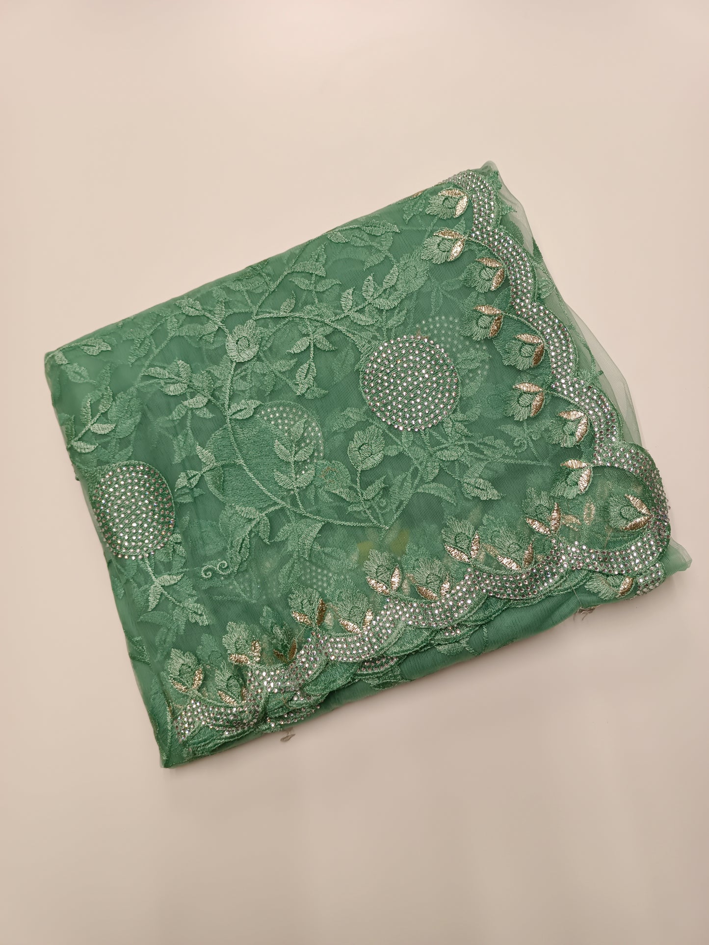 FANCY NETED WORK SAREE