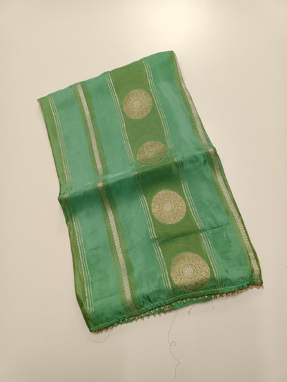 ORGANZA CREPE  SILK SAREE