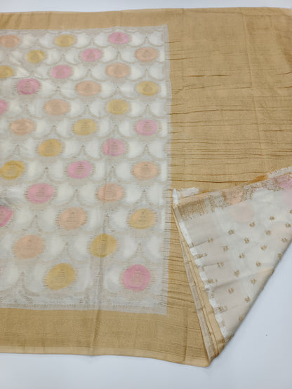 FANCY CHIFFON GEORGETTE SAREE