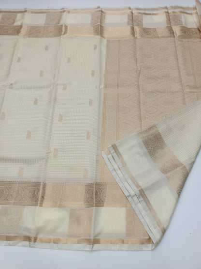 FANCY CHIFFON SAREE