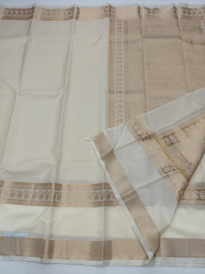 FANCY CHIFFON SAREE