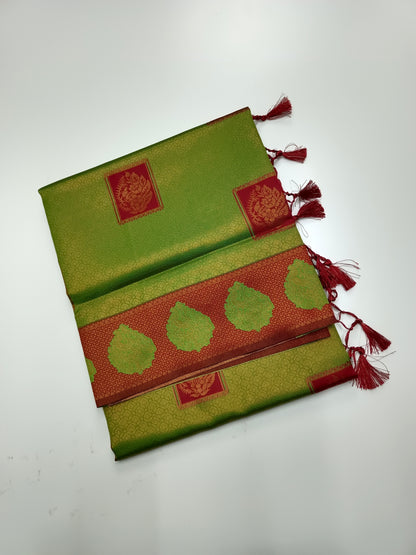 FANCY RAW SILK SAREE