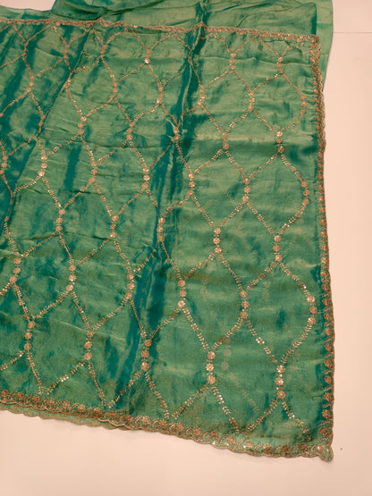 FANCY ORGANZA WORK SAREE