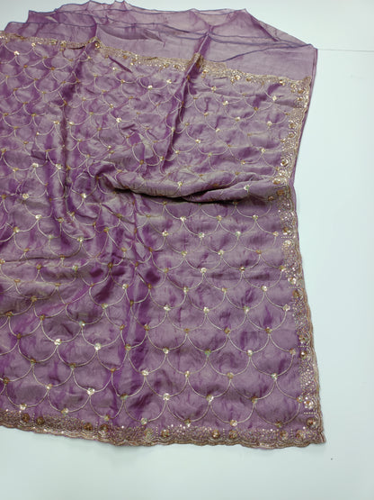 FANCY WORK SAREE