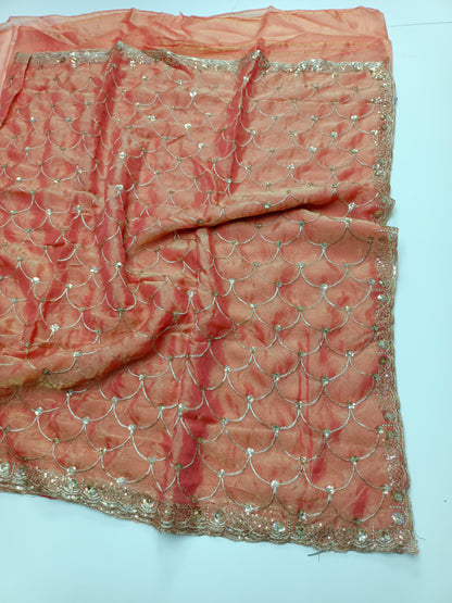FANCY WORK SAREE