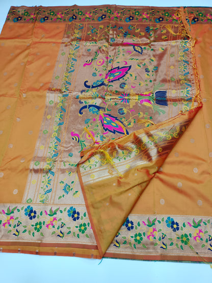 FANCY RAW SILK SAREE