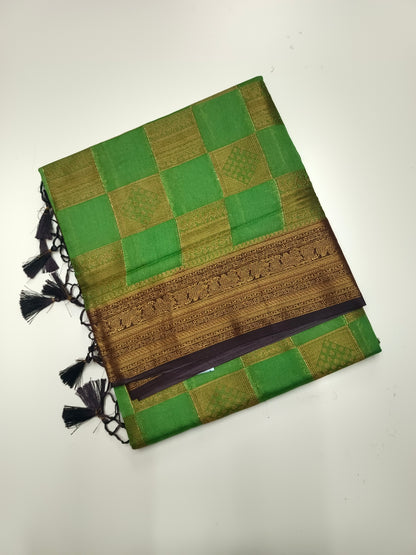 FANCY RAW SILK SAREE