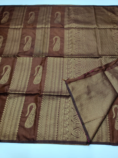FANCY RAW SILK SAREE