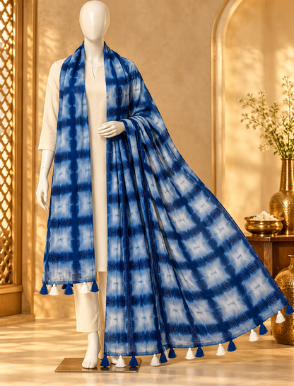 FANCY LADIES STOLE (2 METER)