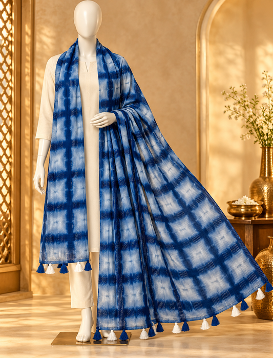 FANCY LADIES STOLE (2 METER)